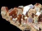 Vanadinite Crystal Cluster (XL Crystals) - Morocco #42207-1